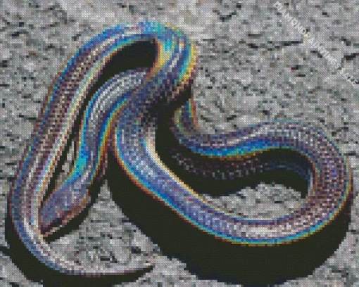 Black And Rainbow Snake Diamond Painting