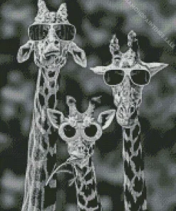 Black And White Giraffes Diamond Painting