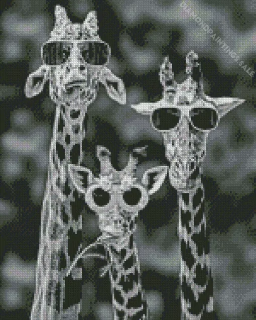Black And White Giraffes Diamond Painting