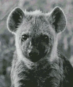 Black And White Hyena Diamond Painting
