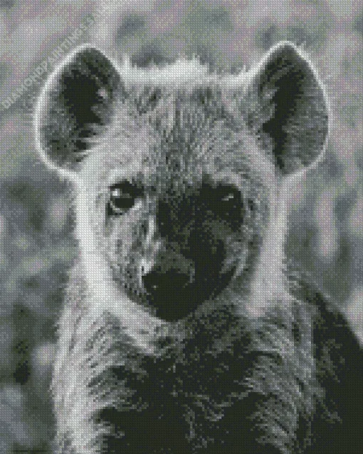 Black And White Hyena Diamond Painting