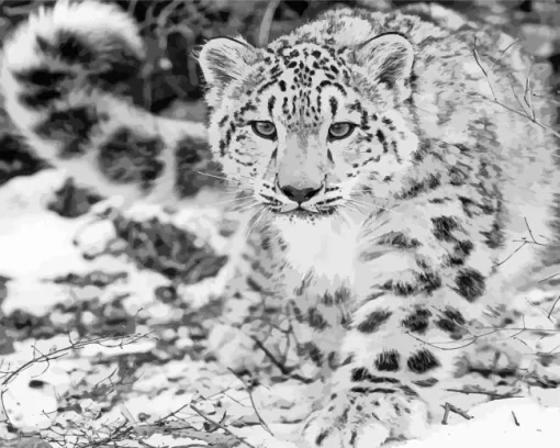 Black And White Leopard Diamond Painting