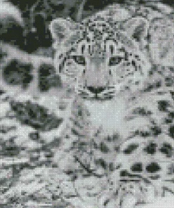 Black And White Leopard Diamond Painting