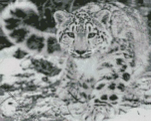 Black And White Leopard Diamond Painting