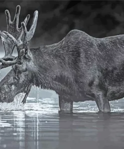 Black And White Moose Diamond Painting