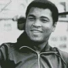 Black And White Muhammad Ali Diamond Painting