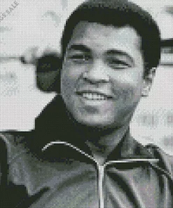 Black And White Muhammad Ali Diamond Painting