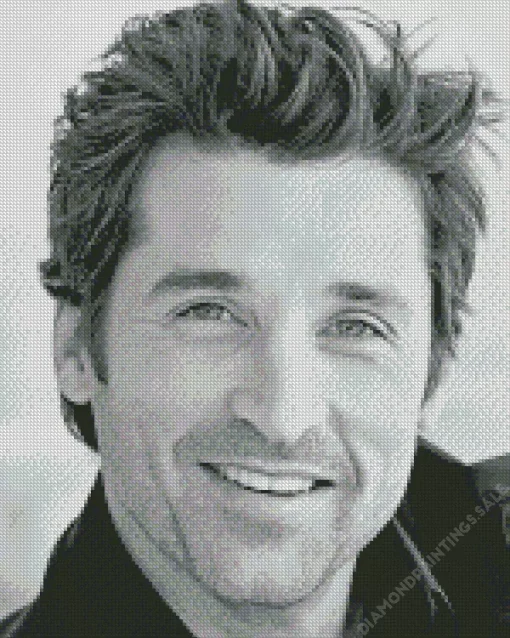 Black And White Patrick Dempsey Diamond Painting
