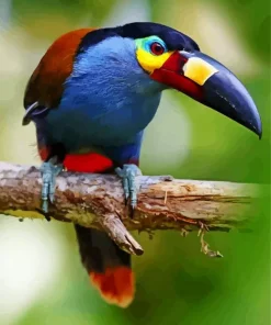 Black Billed Mountain Toucan Diamond Painting