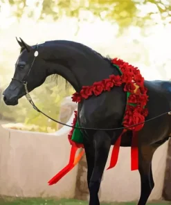 Black Horse With Roses Diamond Painting