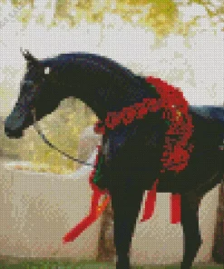Black Horse With Roses Diamond Painting
