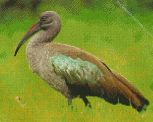 Black Ibis Bird Diamond Painting
