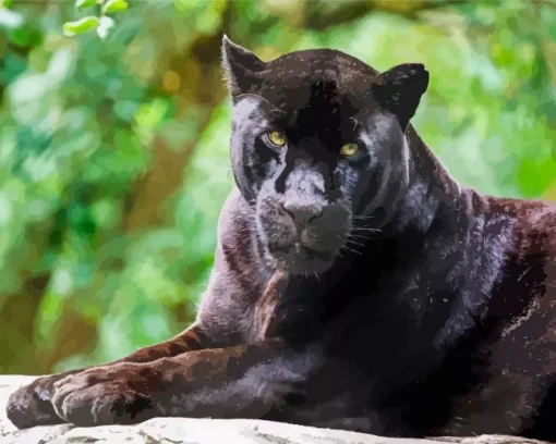 Black Jaguar Diamond Painting
