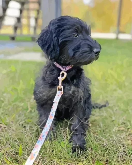 Black Mini Labradoodle Diamond Painting