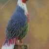 Blood Pheasant Bird Diamond Painting