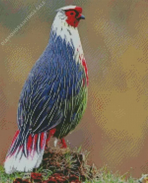 Blood Pheasant Bird Diamond Painting