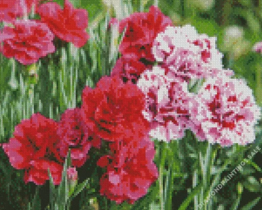 Blooming Carnation Diamond Painting