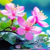 Blossom Flowers Diamond Painting