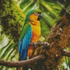 Blue And Gold Macaw Diamond Painting