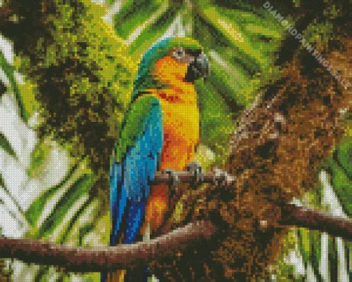 Blue And Gold Macaw Diamond Painting