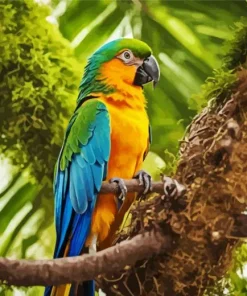 Blue And Gold Macaw Diamond Painting