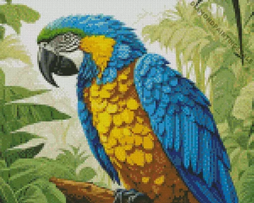 Blue And Gold Macaw Bird Diamond Painting