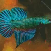 Blue And Green Betta Fish Diamond Painting