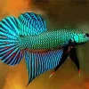 Blue And Green Betta Fish Diamond Painting