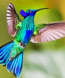 Blue And Green Hummingbird Diamond Painting