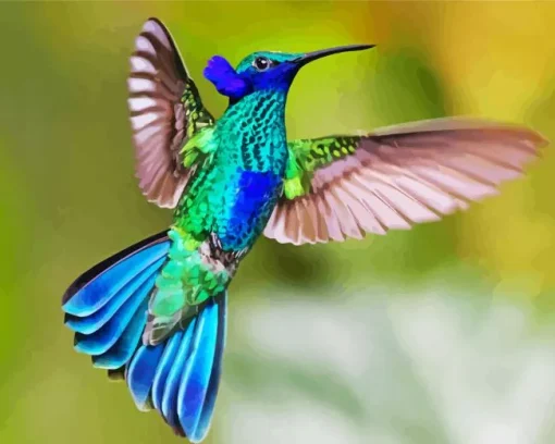 Blue And Green Hummingbird Diamond Painting