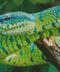 Blue And Green Pit Vipers Diamond Painting