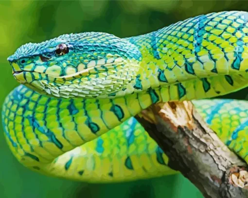 Blue And Green Pit Vipers Diamond Painting