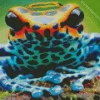 Blue And Orange Frog Diamond Painting