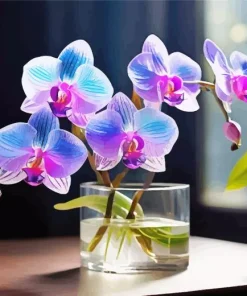 Blue And Pink Orchid In A Glass Diamond Painting