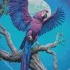 Blue And Purple Parrot Diamond Painting