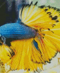 Blue And Yellow Betta Fish Diamond Painting
