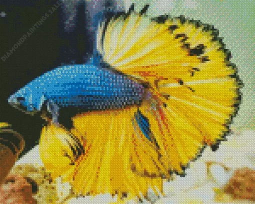 Blue And Yellow Betta Fish Diamond Painting