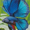 Blue Betta Fish Diamond Painting