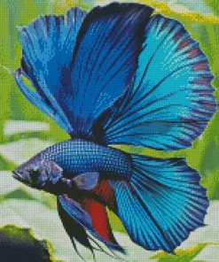 Blue Betta Fish Diamond Painting