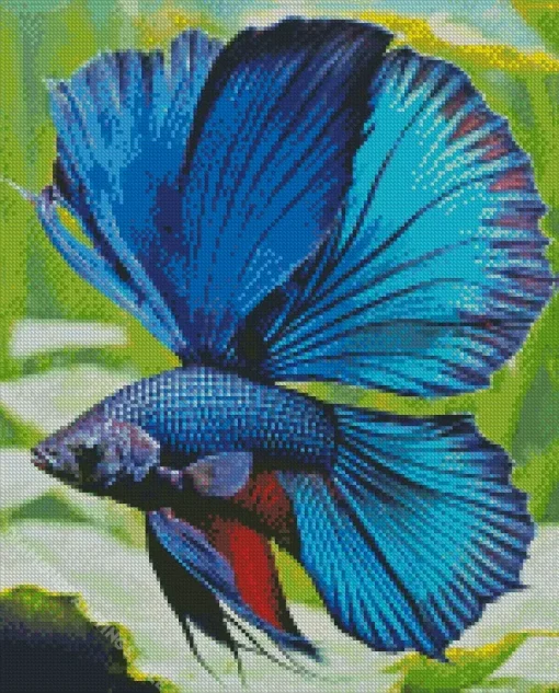 Blue Betta Fish Diamond Painting