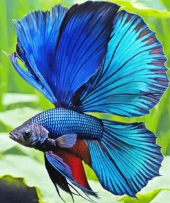 Blue Betta Fish Diamond Painting