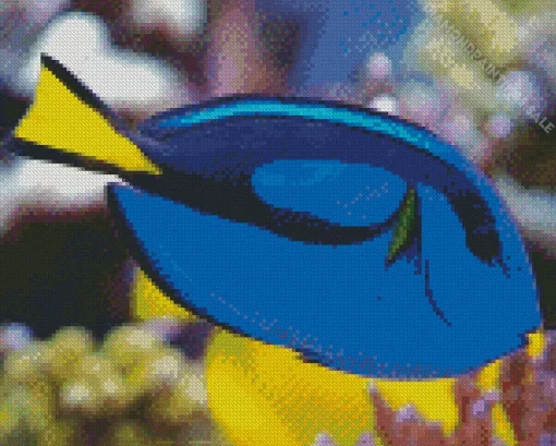 Blue Black And Yellow Fish Diamond Painting