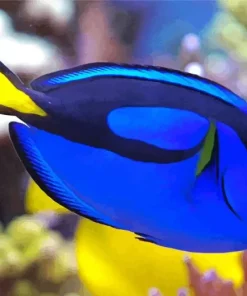 Blue Black And Yellow Fish Diamond Painting