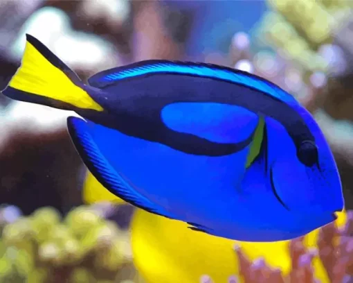 Blue Black And Yellow Fish Diamond Painting