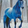Blue Black Horse In Snow Diamond Painting