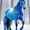 Blue Black Horse In Snow Diamond Painting