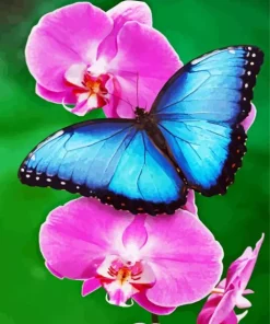 Blue Butterfly And Flower Diamond Painting