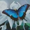 Blue Butterfly And White Flower Diamond Painting