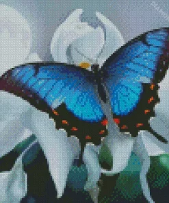 Blue Butterfly And White Flower Diamond Painting