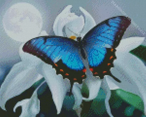 Blue Butterfly And White Flower Diamond Painting
